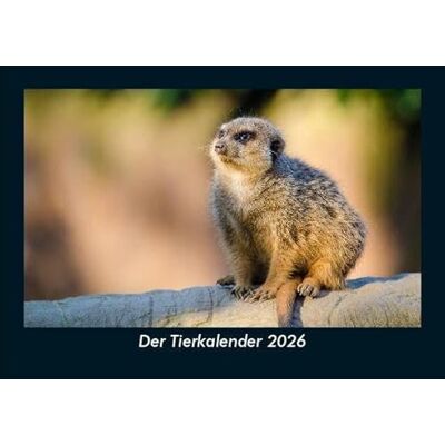 Becker Der Tierkalender 2026 Fotokalender DIN A5: Monatskalender mit Bild-Motiven von Haustieren, Bauernhof, wilden Tieren und Raubtieren Becker Der Tierkalender 2026 Fotokalender DIN A5: Monatskalender mit Bild-Motiven von Haustieren, Bauernhof, wilden Tieren und Raubtieren