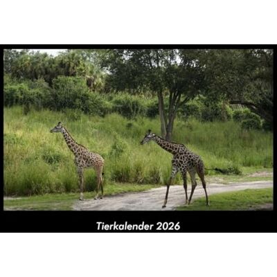 Becker Tierkalender 2026 Fotokalender DIN A3: Monatskalender mit Bild-Motiven von Haustieren, Bauernhof, wilden Tieren und Raubtieren Becker Tierkalender 2026 Fotokalender DIN A3: Monatskalender mit Bild-Motiven von Haustieren, Bauernhof, wilden Tieren und Raubtieren