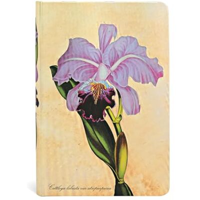 Paperblanks Diari a Copertina Rigida Orchidea Brasiliana Bianco Mini (95 × 140 mm) Paperblanks Diari a Copertina Rigida Orchidea Brasiliana Bianco Mini (95 × 140 mm)