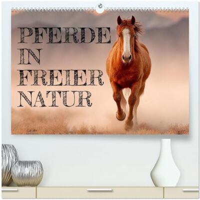 Fotografie, Mb Pferde in freier Natur (hochwertiger Premium Wandkalender 2026 DIN A2 quer), Kunstdruck in Hochglanz: Pferdekalender mit edlen Pferden in freier Natur ... Bildern für Pferdeliebhaber und Reiterinnen Fotografie, Mb Pferde in freier Natur (hochwertiger Premium Wandkalender 2026 DIN A2 quer), Kunstdruck in Hochglanz: Pferdekalender mit edlen Pferden in freier Natur ... Bildern für Pferdeliebhaber und Reiterinnen