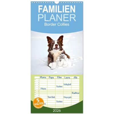 Greiling, Hermann Familienplaner 2026 Border Collies mit 5 Spalten (Wandkalender, 21 x 45 cm) : Faszination Border Collies Greiling, Hermann Familienplaner 2026 Border Collies mit 5 Spalten (Wandkalender, 21 x 45 cm) : Faszination Border Collies