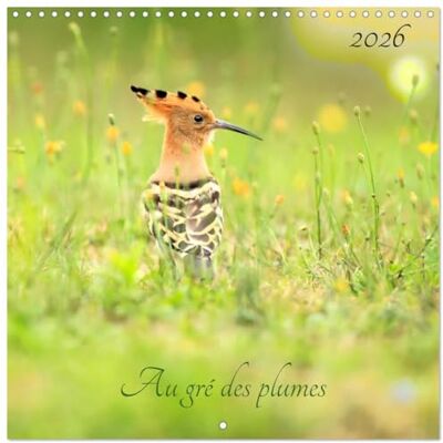 Pagnon, Marie-ange Au gré des plumes (Calendrier mural carré 2026 30x30 cm) Calendrier double avec une page pour vos prises de notes: Des oiseaux sauvages divers et variés de toute beauté. Pagnon, Marie-ange Au gré des plumes (Calendrier mural carré 2026 30x30 cm) Calendrier double avec une page pour vos prises de notes: Des oiseaux sauvages divers et variés de toute beauté.