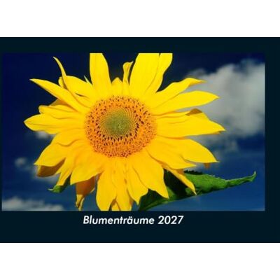 Schmitt, Tobias Blumenträume 2027 Fotokalender DIN A5: Monatskalender mit Bild-Motiven aus Fauna und Flora, Natur, Blumen und Pflanzen Schmitt, Tobias Blumenträume 2027 Fotokalender DIN A5: Monatskalender mit Bild-Motiven aus Fauna und Flora, Natur, Blumen und Pflanzen