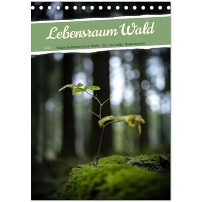 Gießmann-Keller, Nicole Lebensraum Wald (Tischkalender 2026 DIN A5 hoch), Monatskalender: Ein Jahr voller magischer Momente im Wald, festgehalten in wunderschönen Aufnahmen. Gießmann-Keller, Nicole Lebensraum Wald (Tischkalender 2026 DIN A5 hoch), Monatskalender: Ein Jahr voller magischer Momente im Wald, festgehalten in wunderschönen Aufnahmen.