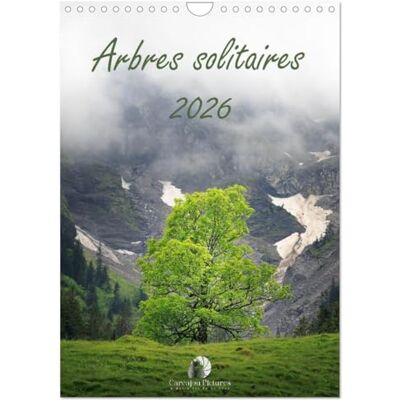 Martzel, Thomas Arbres solitaires (Calendrier mural 2026 DIN A4 horizontal), calendrier mensuel: Un hommage poétique à la majesté et à la force tranquille ... intemporels de la nature et des saisons. Martzel, Thomas Arbres solitaires (Calendrier mural 2026 DIN A4 horizontal), calendrier mensuel: Un hommage poétique à la majesté et à la force tranquille ... intemporels de la nature et des saisons.