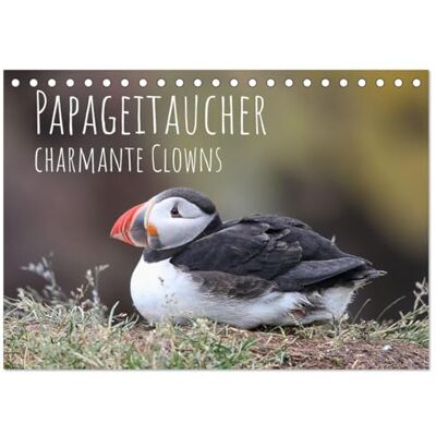 Kuhn, Judith Papageitaucher charmante Clowns (Tischkalender 2026 DIN A5 quer), Monatskalender: Klippenleben im nordischen Licht Kuhn, Judith Papageitaucher charmante Clowns (Tischkalender 2026 DIN A5 quer), Monatskalender: Klippenleben im nordischen Licht