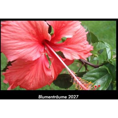 Becker Blumenträume 2027 Fotokalender DIN A3: Monatskalender mit Bild-Motiven aus Fauna und Flora, Natur, Blumen und Pflanzen Becker Blumenträume 2027 Fotokalender DIN A3: Monatskalender mit Bild-Motiven aus Fauna und Flora, Natur, Blumen und Pflanzen