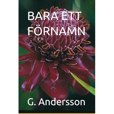 Andersson BARA ETT FÖRNAMN Andersson BARA ETT FÖRNAMN