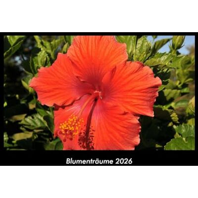 Becker Blumenträume 2026 Fotokalender DIN A3: Monatskalender mit Bild-Motiven aus Fauna und Flora, Natur, Blumen und Pflanzen Becker Blumenträume 2026 Fotokalender DIN A3: Monatskalender mit Bild-Motiven aus Fauna und Flora, Natur, Blumen und Pflanzen