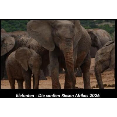 Becker Elefanten Die sanften Riesen Afrikas 2026 Fotokalender DIN A3: Monatskalender mit Bild-Motiven von Haustieren, Bauernhof, wilden Tieren und Raubtieren Becker Elefanten Die sanften Riesen Afrikas 2026 Fotokalender DIN A3: Monatskalender mit Bild-Motiven von Haustieren, Bauernhof, wilden Tieren und Raubtieren