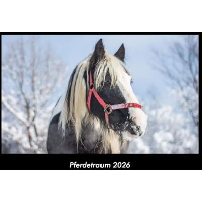Becker Pferdetraum 2026 Fotokalender DIN A3: Monatskalender mit Bild-Motiven von Haustieren, Bauernhof, wilden Tieren und Raubtieren Becker Pferdetraum 2026 Fotokalender DIN A3: Monatskalender mit Bild-Motiven von Haustieren, Bauernhof, wilden Tieren und Raubtieren