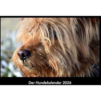 Becker Der Hundekalender 2026 Fotokalender DIN A3: Monatskalender mit Bild-Motiven von Haustieren, Bauernhof, wilden Tieren und Raubtieren Becker Der Hundekalender 2026 Fotokalender DIN A3: Monatskalender mit Bild-Motiven von Haustieren, Bauernhof, wilden Tieren und Raubtieren