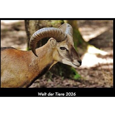 Becker Welt der Tiere 2026 Fotokalender DIN A3: Monatskalender mit Bild-Motiven von Haustieren, Bauernhof, wilden Tieren und Raubtieren Becker Welt der Tiere 2026 Fotokalender DIN A3: Monatskalender mit Bild-Motiven von Haustieren, Bauernhof, wilden Tieren und Raubtieren