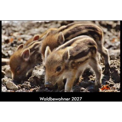 Becker Waldbewohner 2027 Fotokalender DIN A3: Monatskalender mit Bild-Motiven von Haustieren, Bauernhof, wilden Tieren und Raubtieren Becker Waldbewohner 2027 Fotokalender DIN A3: Monatskalender mit Bild-Motiven von Haustieren, Bauernhof, wilden Tieren und Raubtieren