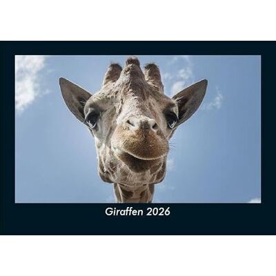 Becker Giraffen 2026 Fotokalender DIN A5: Monatskalender mit Bild-Motiven von Haustieren, Bauernhof, wilden Tieren und Raubtieren Becker Giraffen 2026 Fotokalender DIN A5: Monatskalender mit Bild-Motiven von Haustieren, Bauernhof, wilden Tieren und Raubtieren