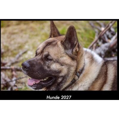 Becker Hunde 2027 Fotokalender DIN A3: Monatskalender mit Bild-Motiven von Haustieren, Bauernhof, wilden Tieren und Raubtieren Becker Hunde 2027 Fotokalender DIN A3: Monatskalender mit Bild-Motiven von Haustieren, Bauernhof, wilden Tieren und Raubtieren