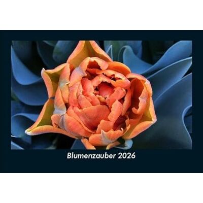 Becker Blumenzauber 2026 Fotokalender DIN A5: Monatskalender mit Bild-Motiven aus Fauna und Flora, Natur, Blumen und Pflanzen Becker Blumenzauber 2026 Fotokalender DIN A5: Monatskalender mit Bild-Motiven aus Fauna und Flora, Natur, Blumen und Pflanzen
