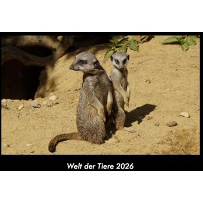 Becker Welt der Tiere 2026 Fotokalender DIN A3: Monatskalender mit Bild-Motiven von Haustieren, Bauernhof, wilden Tieren und Raubtieren Becker Welt der Tiere 2026 Fotokalender DIN A3: Monatskalender mit Bild-Motiven von Haustieren, Bauernhof, wilden Tieren und Raubtieren