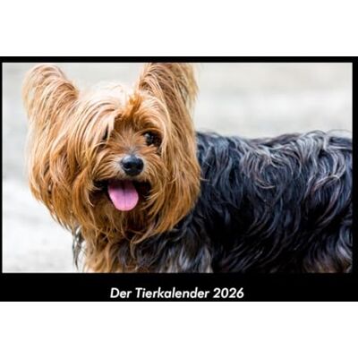 Becker Der Tierkalender 2026 Fotokalender DIN A3: Monatskalender mit Bild-Motiven von Haustieren, Bauernhof, wilden Tieren und Raubtieren Becker Der Tierkalender 2026 Fotokalender DIN A3: Monatskalender mit Bild-Motiven von Haustieren, Bauernhof, wilden Tieren und Raubtieren