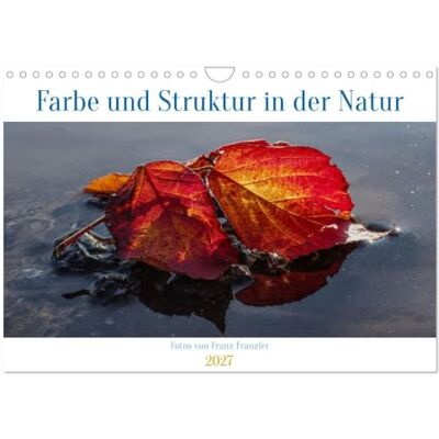 CALVENDO Farbe und Struktur in der Natur (Wandkalender 2027 DIN A4 quer), Monatskalender: Abwechsend farbenfrohe Details aus der Natur CALVENDO Farbe und Struktur in der Natur (Wandkalender 2027 DIN A4 quer), Monatskalender: Abwechsend farbenfrohe Details aus der Natur