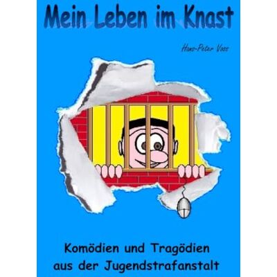 Voss Mein Leben im Knast: Komödien und Tragödien aus der Jugendstrafanstalt Voss Mein Leben im Knast: Komödien und Tragödien aus der Jugendstrafanstalt