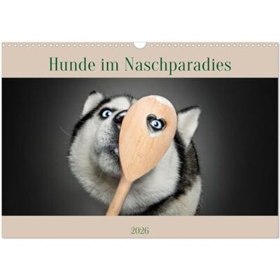 CALVENDO Hunde im Naschparadies (Wandkalender 2026 DIN A3 quer), Monatskalender: Fröhliche, bunte Motive mit lustigen Hunden. CALVENDO Hunde im Naschparadies (Wandkalender 2026 DIN A3 quer), Monatskalender: Fröhliche, bunte Motive mit lustigen Hunden.