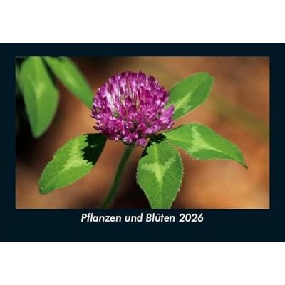 Becker Pflanzen und Blüten 2026 Fotokalender DIN A5: Monatskalender mit Bild-Motiven aus Fauna und Flora, Natur, Blumen und Pflanzen Becker Pflanzen und Blüten 2026 Fotokalender DIN A5: Monatskalender mit Bild-Motiven aus Fauna und Flora, Natur, Blumen und Pflanzen