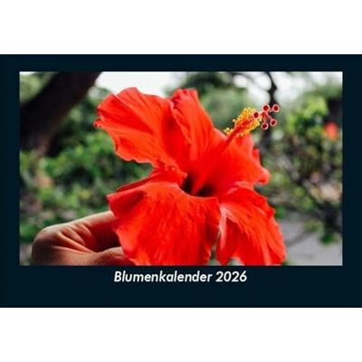 Becker Blumenkalender 2026 Fotokalender DIN A5: Monatskalender mit Bild-Motiven aus Fauna und Flora, Natur, Blumen und Pflanzen Becker Blumenkalender 2026 Fotokalender DIN A5: Monatskalender mit Bild-Motiven aus Fauna und Flora, Natur, Blumen und Pflanzen