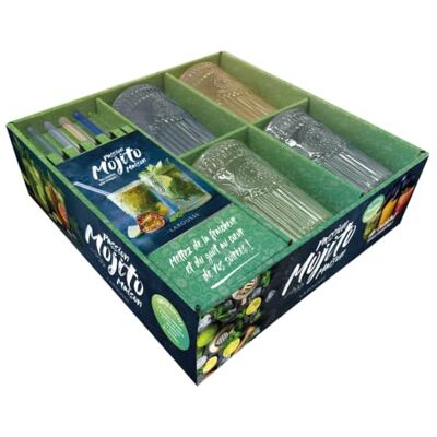 Larousse Passion mojito maison: Coffret avec 4 verres à mojito en verre, 4 pailles en verre, 1 goupillon et 1 livret de 20 recettes Larousse Passion mojito maison: Coffret avec 4 verres à mojito en verre, 4 pailles en verre, 1 goupillon et 1 livret de 20 recettes