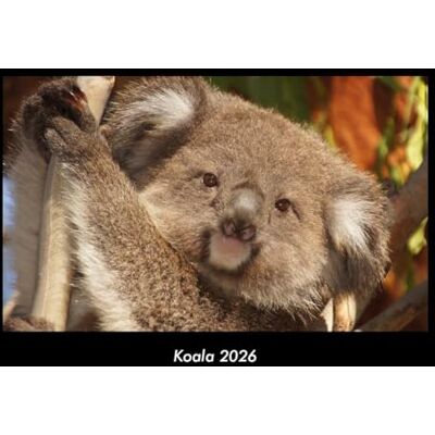 Becker Koala 2026 Fotokalender DIN A3: Monatskalender mit Bild-Motiven von Haustieren, Bauernhof, wilden Tieren und Raubtieren Becker Koala 2026 Fotokalender DIN A3: Monatskalender mit Bild-Motiven von Haustieren, Bauernhof, wilden Tieren und Raubtieren