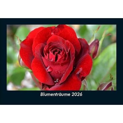 Becker Blumenträume 2026 Fotokalender DIN A5: Monatskalender mit Bild-Motiven aus Fauna und Flora, Natur, Blumen und Pflanzen Becker Blumenträume 2026 Fotokalender DIN A5: Monatskalender mit Bild-Motiven aus Fauna und Flora, Natur, Blumen und Pflanzen