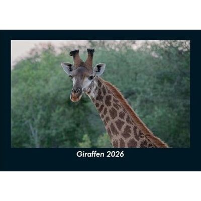 Becker Giraffen 2026 Fotokalender DIN A5: Monatskalender mit Bild-Motiven von Haustieren, Bauernhof, wilden Tieren und Raubtieren Becker Giraffen 2026 Fotokalender DIN A5: Monatskalender mit Bild-Motiven von Haustieren, Bauernhof, wilden Tieren und Raubtieren