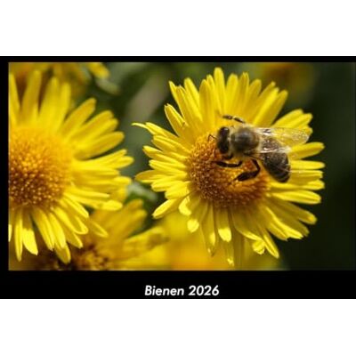 Becker Bienen 2026 Fotokalender DIN A3: Monatskalender mit Bild-Motiven von Haustieren, Bauernhof, wilden Tieren und Raubtieren Becker Bienen 2026 Fotokalender DIN A3: Monatskalender mit Bild-Motiven von Haustieren, Bauernhof, wilden Tieren und Raubtieren