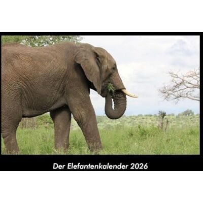 Becker Der Elefantenkalender 2026 Fotokalender DIN A3: Monatskalender mit Bild-Motiven von Haustieren, Bauernhof, wilden Tieren und Raubtieren Becker Der Elefantenkalender 2026 Fotokalender DIN A3: Monatskalender mit Bild-Motiven von Haustieren, Bauernhof, wilden Tieren und Raubtieren