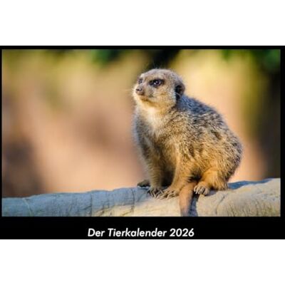 Becker Der Tierkalender 2026 Fotokalender DIN A3: Monatskalender mit Bild-Motiven von Haustieren, Bauernhof, wilden Tieren und Raubtieren Becker Der Tierkalender 2026 Fotokalender DIN A3: Monatskalender mit Bild-Motiven von Haustieren, Bauernhof, wilden Tieren und Raubtieren