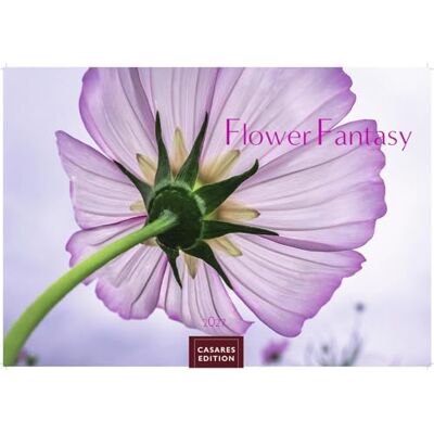 CASARES EDITION Flower Fantasy Kalender 2027 Wandkalender Fotokalender Naturkalender Blumenkalender 35x50cm Wunderschöne Blumenfotos in bestechender Ästhetik CASARES EDITION Flower Fantasy Kalender 2027 Wandkalender Fotokalender Naturkalender Blumenkalender 35x50cm Wunderschöne Blumenfotos in bestechender Ästhetik