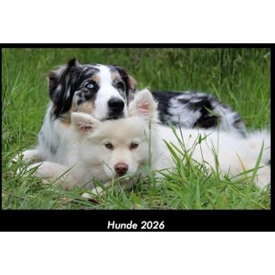 Becker Hunde 2026 Fotokalender DIN A3: Monatskalender mit Bild-Motiven von Haustieren, Bauernhof, wilden Tieren und Raubtieren Becker Hunde 2026 Fotokalender DIN A3: Monatskalender mit Bild-Motiven von Haustieren, Bauernhof, wilden Tieren und Raubtieren