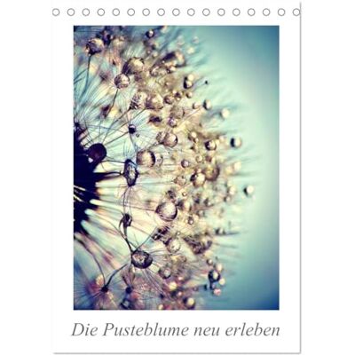 Delgado, Julia Die Pusteblume neu erleben (Tischkalender 2026 DIN A5 hoch), Monatskalender: Mit 12 spektakuläre Makroaufnahmen der Pusteblume ist dieser Kalender ein echter Blickfang an der Wand. Delgado, Julia Die Pusteblume neu erleben (Tischkalender 2026 DIN A5 hoch), Monatskalender: Mit 12 spektakuläre Makroaufnahmen der Pusteblume ist dieser Kalender ein echter Blickfang an der Wand.