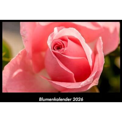 Becker Blumenkalender 2026 Fotokalender DIN A3: Monatskalender mit Bild-Motiven aus Fauna und Flora, Natur, Blumen und Pflanzen Becker Blumenkalender 2026 Fotokalender DIN A3: Monatskalender mit Bild-Motiven aus Fauna und Flora, Natur, Blumen und Pflanzen