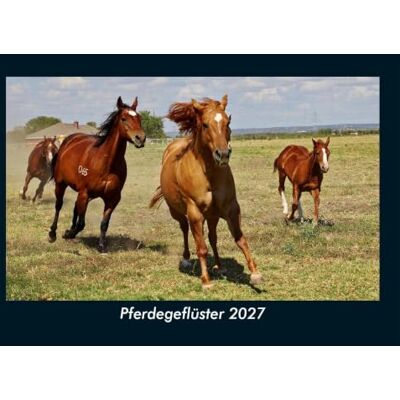 Schmitt, Tobias Pferdegeflüster 2027 Fotokalender DIN A5: Monatskalender mit Bild-Motiven von Haustieren, Bauernhof, wilden Tieren und Raubtieren Schmitt, Tobias Pferdegeflüster 2027 Fotokalender DIN A5: Monatskalender mit Bild-Motiven von Haustieren, Bauernhof, wilden Tieren und Raubtieren