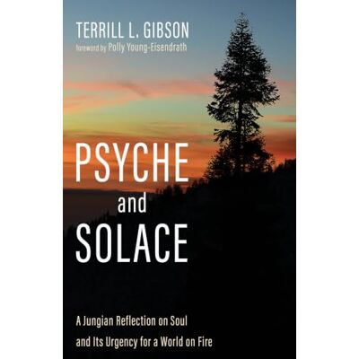 Gibson Psyche and Solace: A Jungian Reflection on Soul and Its Urgency for a World on Fire Gibson Psyche and Solace: A Jungian Reflection on Soul and Its Urgency for a World on Fire