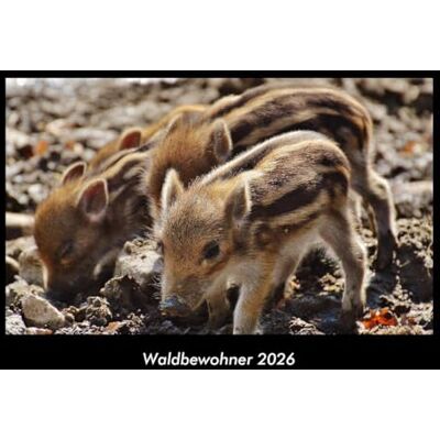 Becker Waldbewohner 2026 Fotokalender DIN A3: Monatskalender mit Bild-Motiven von Haustieren, Bauernhof, wilden Tieren und Raubtieren Becker Waldbewohner 2026 Fotokalender DIN A3: Monatskalender mit Bild-Motiven von Haustieren, Bauernhof, wilden Tieren und Raubtieren