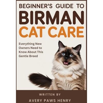 Avery Beginner's Guide to Birman Cat Care: Everything New Owners Need to Know About This Gentle Breed Avery Beginner's Guide to Birman Cat Care: Everything New Owners Need to Know About This Gentle Breed
