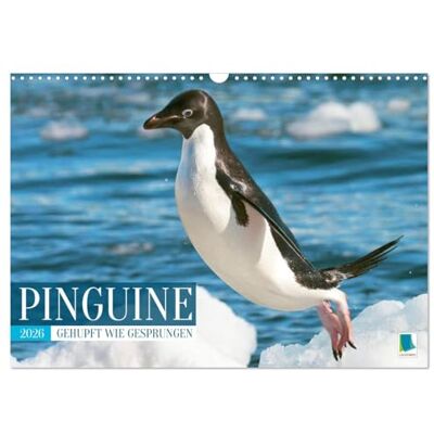 CALVENDO Pinguini: cippato come saltato (calendario da parete 2026 DIN A3 quer), calendario mensile: pinguini: invitare a sorridere e ridere ( Animali) CALVENDO Pinguini: cippato come saltato (calendario da parete 2026 DIN A3 quer), calendario mensile: pinguini: invitare a sorridere e ridere ( Animali)
