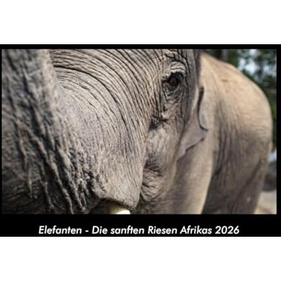 Becker Elefanten Die sanften Riesen Afrikas 2026 Fotokalender DIN A3: Monatskalender mit Bild-Motiven von Haustieren, Bauernhof, wilden Tieren und Raubtieren Becker Elefanten Die sanften Riesen Afrikas 2026 Fotokalender DIN A3: Monatskalender mit Bild-Motiven von Haustieren, Bauernhof, wilden Tieren und Raubtieren