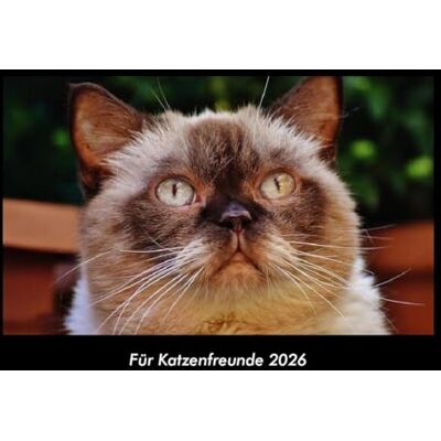 Becker Für Katzenfreunde 2026 Fotokalender DIN A3: Monatskalender mit Bild-Motiven von Haustieren, Bauernhof, wilden Tieren und Raubtieren Becker Für Katzenfreunde 2026 Fotokalender DIN A3: Monatskalender mit Bild-Motiven von Haustieren, Bauernhof, wilden Tieren und Raubtieren