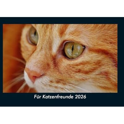 Becker Für Katzenfreunde 2026 Fotokalender DIN A5: Monatskalender mit Bild-Motiven von Haustieren, Bauernhof, wilden Tieren und Raubtieren Becker Für Katzenfreunde 2026 Fotokalender DIN A5: Monatskalender mit Bild-Motiven von Haustieren, Bauernhof, wilden Tieren und Raubtieren
