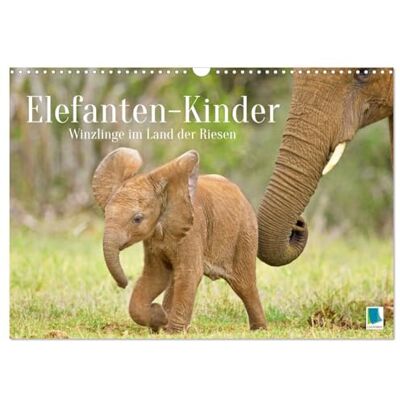 CALVENDO Bambini elefanti: minuscoli nel paese dei giganti (calendario da parete 2026 DIN A3 quer), calendario mensile : i bambini africani giocano nella protezione del tuo gregge ( Animali) CALVENDO Bambini elefanti: minuscoli nel paese dei giganti (calendario da parete 2026 DIN A3 quer), calendario mensile : i bambini africani giocano nella protezione del tuo gregge ( Animali)