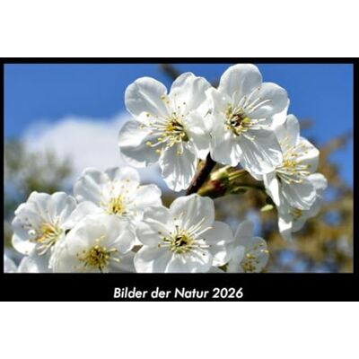 Becker Bilder der Natur 2026 Fotokalender DIN A3: Monatskalender mit Bild-Motiven aus Fauna und Flora, Natur, Blumen und Pflanzen Becker Bilder der Natur 2026 Fotokalender DIN A3: Monatskalender mit Bild-Motiven aus Fauna und Flora, Natur, Blumen und Pflanzen