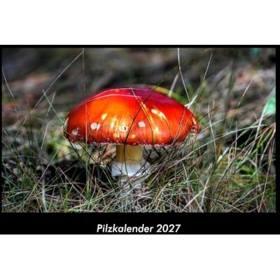 Becker Pilzkalender 2027 Fotokalender DIN A3: Monatskalender mit Bild-Motiven aus Fauna und Flora, Natur, Blumen und Pflanzen Becker Pilzkalender 2027 Fotokalender DIN A3: Monatskalender mit Bild-Motiven aus Fauna und Flora, Natur, Blumen und Pflanzen